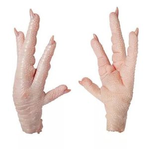 frozen chicken paws suppliers