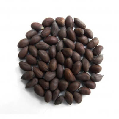 Cotton Seeds Wholesale